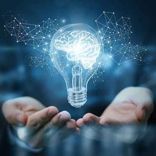 Giám định xâm phạm hợp đồng sở hữu trí tuệ: Quy định pháp luật và những lưu ý quan trọng cho doanh nghiệp