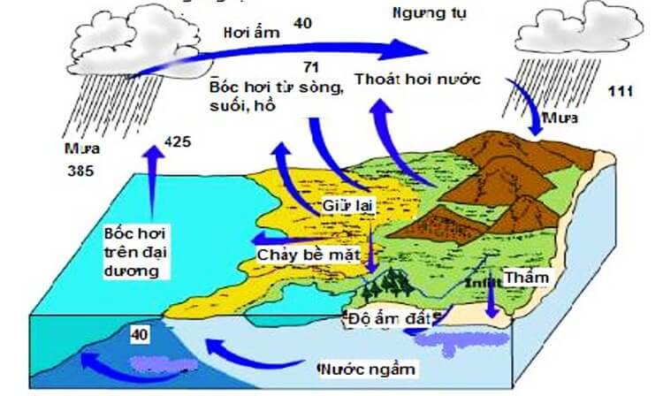 Nước ngầm là gì