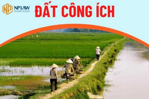 Đất công ích là gì và quy định về đất công ích