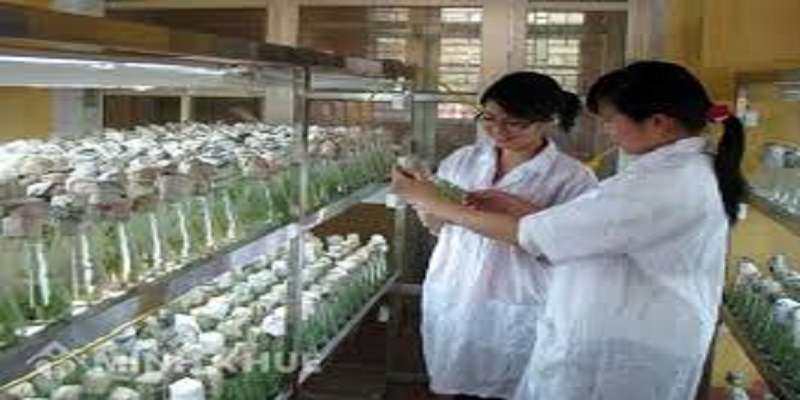 1. Thẩm quyền cấp Giấy phép khảo nghiệm thuốc thú y thuộc về cơ quan nào?