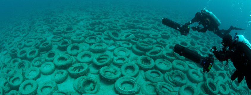 Giấy phép nhận chìm ở biển