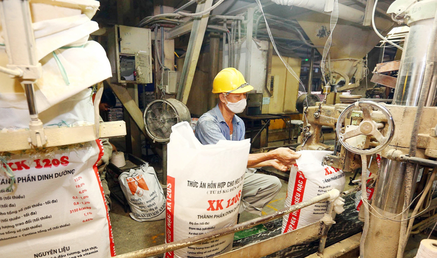 Sản xuất thức ăn chăn nuôi là gì?