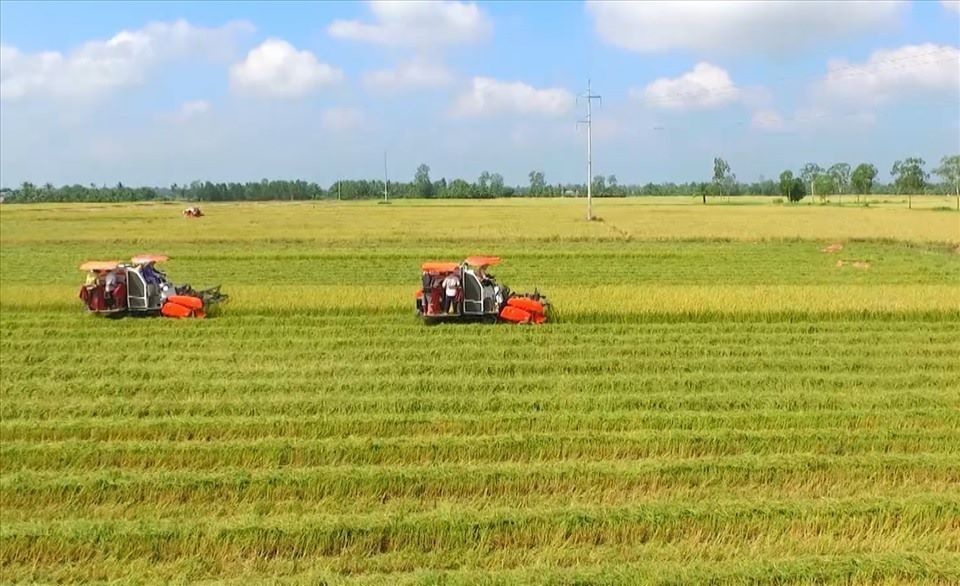 Tiền thuê đất khi chuyển đổi từ đất nông nghiệp sang đất kinh doanh được xác định như thế nào?