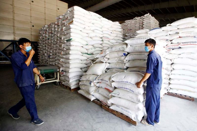 Nhu cầu cấp giấy chứng nhận kinh doanh xuất khẩu gạo hiện nay