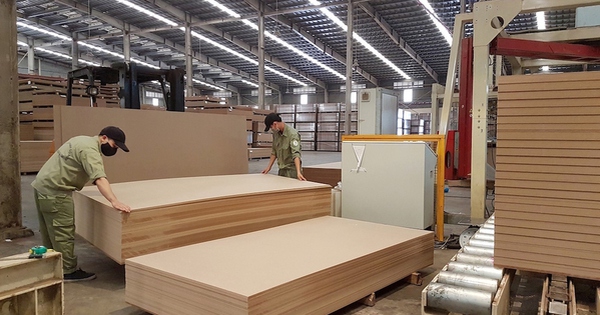hồ sơ đề nghị cấp giấy phép FLEGT