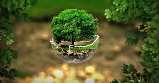 Quy định pháp luật về xin giấy phép môi trường tại Nha Trang