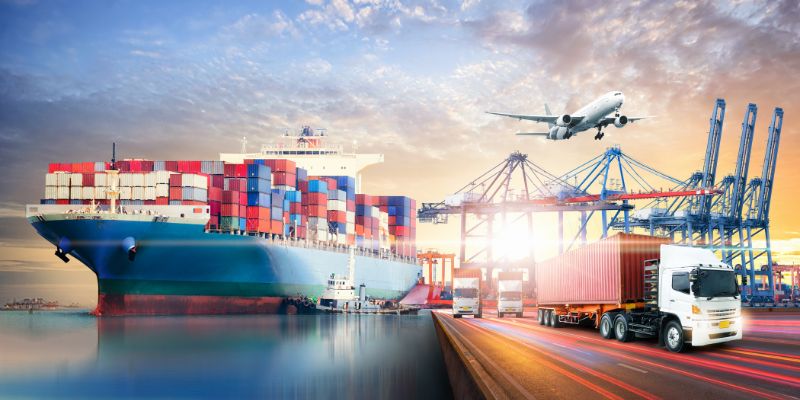 Thực trạng nhập khẩu nhập khẩu động vật hiện nay