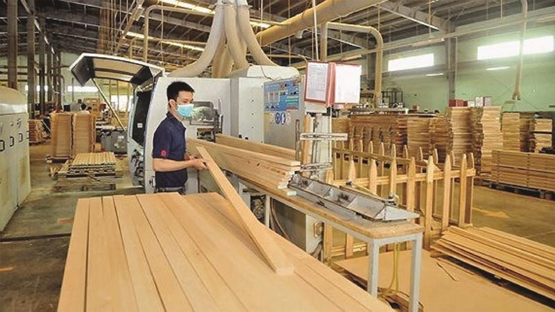 Vai trò của giấy phép kinh doanh ngành gỗ