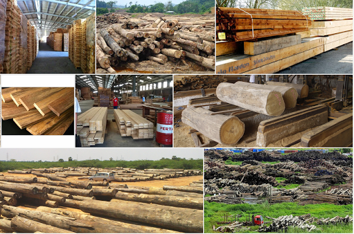  Điều kiện để kinh doanh ngành gỗ