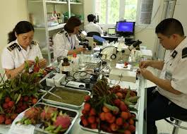 Dịch vụ tư vấn và thực hiện các thủ tục liên quan đến giấy phép kiểm dịch thực vật