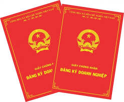 Thu hồi giấy phép đăng ký doanh nghiệp là gì