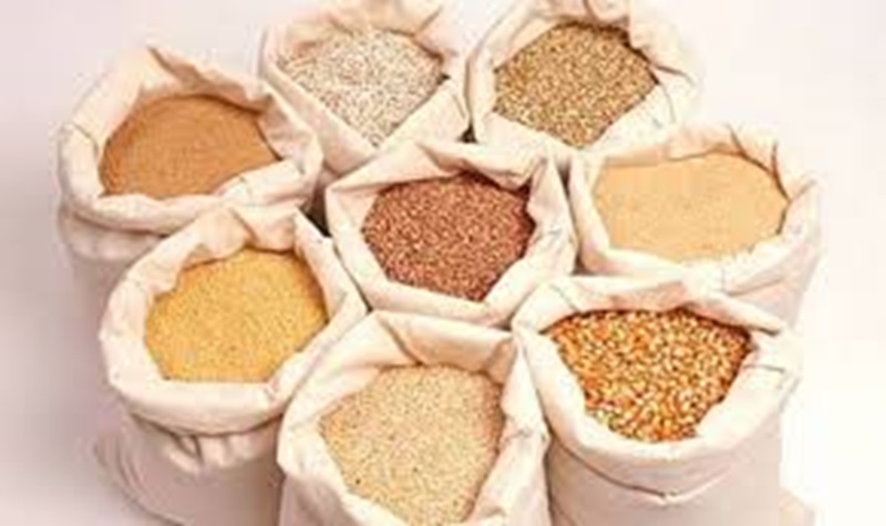 Quy định pháp luật về đơn đăng ký nhập khẩu thức ăn thủy sản