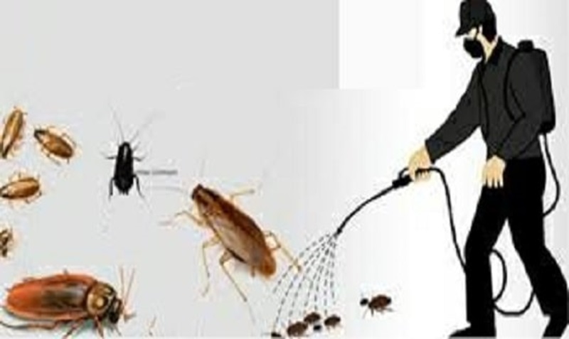 Cơ sở sản xuất chế phẩm diệt côn trùng cần phải đảm bảo các điều kiện gì?