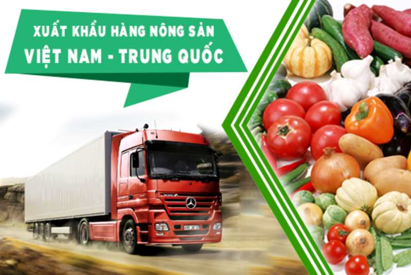Tìm hiểu về giấy phép xuất khẩu sang Trung Quốc