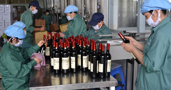 Nhu cầu xin giấy phép sản xuất rượu thủ công