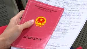 (Note hình:tro-lai-quoc-tich-viet-nam-o-trong-nuoc)