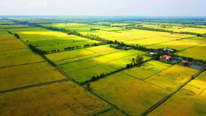 Đơn xin cho thuê đất là gì?