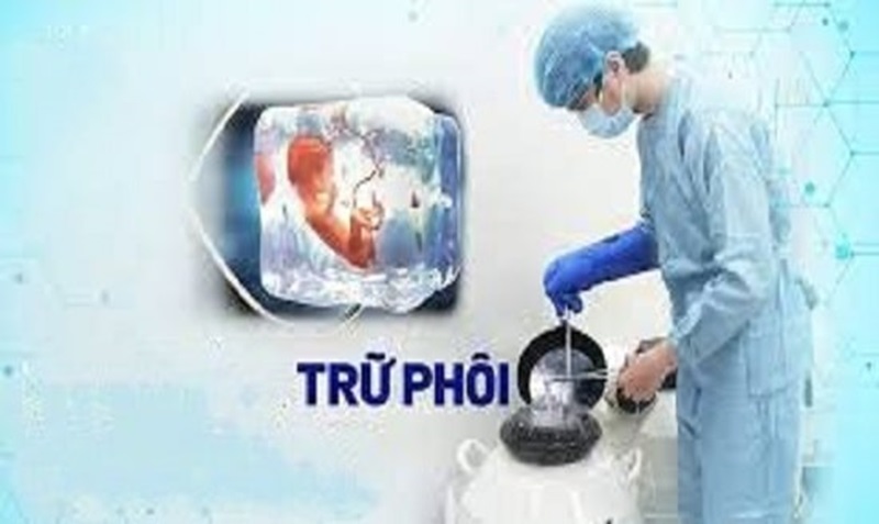 Thủ tục, hồ sơ đăng ký kinh doanh dịch vụ lưu trữ phôi