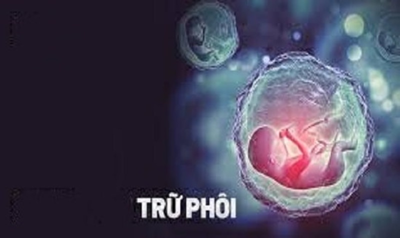 Người đứng đầu cơ sở kinh doanh dịch vụ lưu trữ phôi có cần là bác sĩ chuyên khoa không?