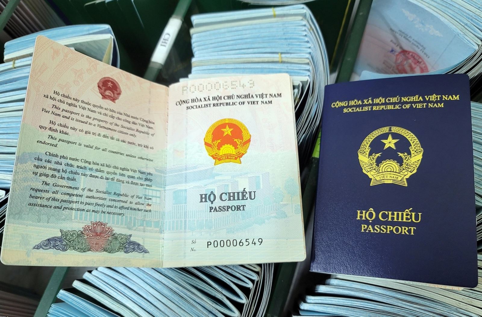 Các trường hợp bị từ chối phục hồi quốc tịch Việt Nam?