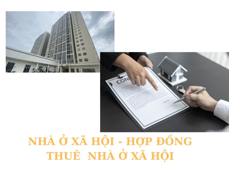 Tìm hiểu về hợp đồng thuê nhà ở xã hội