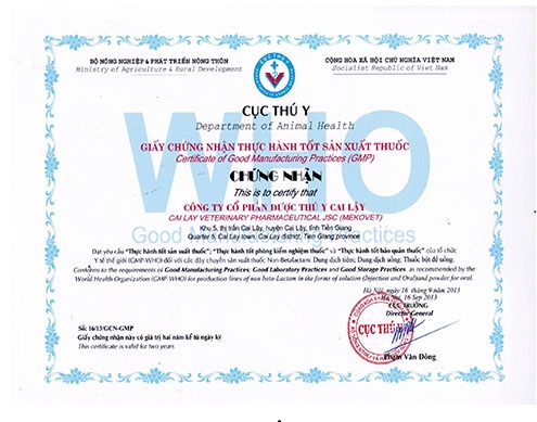 Hoạt động xin cấp giấy chứng nhận gmp sản xuất thuốc thú y trên thực tiễn