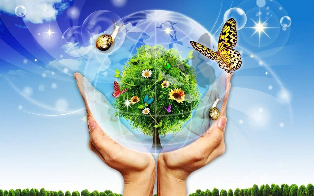 Quy định về nhãn môi trường