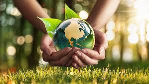 Hands holding a globe with leaves

Description automatically generated