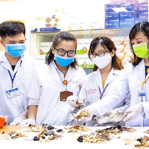 Giấy phép hoạt động y học cổ truyền cần có những điều kiện gì để được cấp?