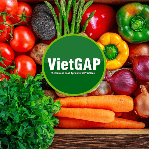 Làm giả chứng chỉ VietGAP cho nông sản bị xử lý thế nào theo quy định pháp luật?