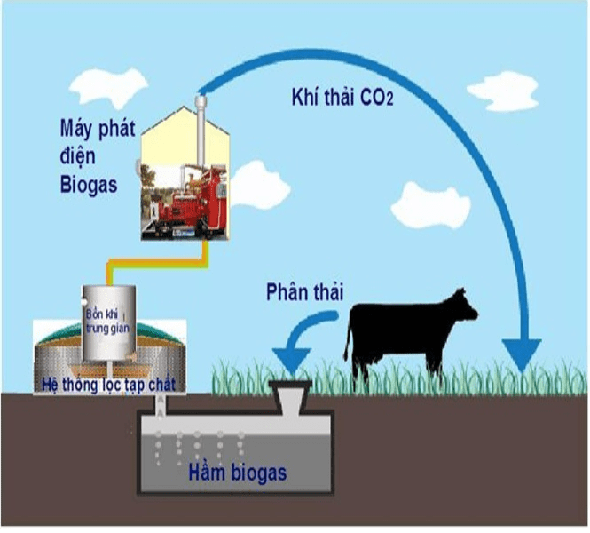 xử lý chất thải chăn nuôi