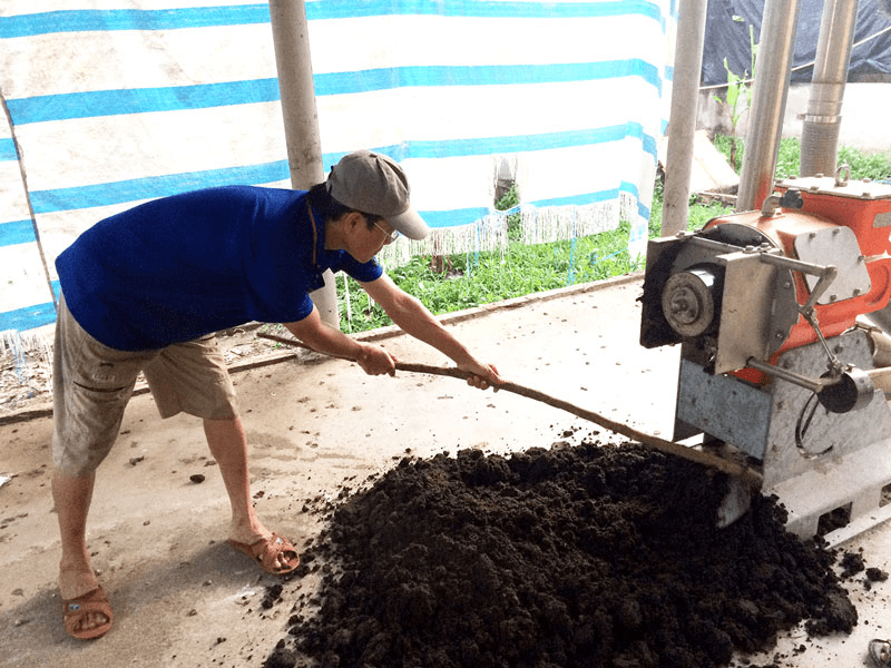 Xử lý chất thải trong chăn nuôi nông hộ