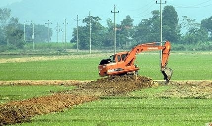 Quy định pháp luật về chuyển mục đích sử dụng đất trồng lúa