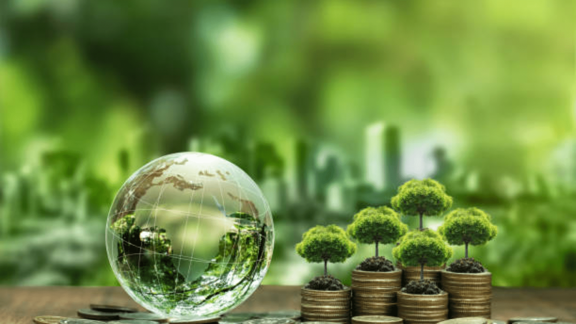 Thuế bảo vệ môi trường là gì?