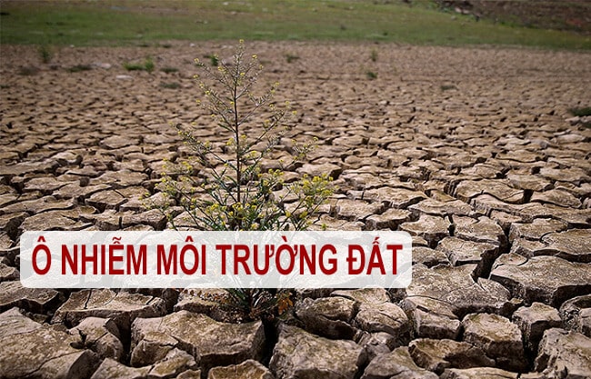 Tìm hiểu về môi trường đất