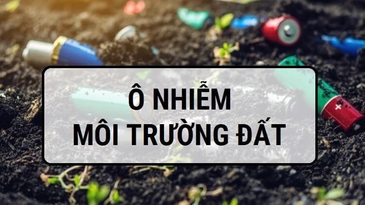 Thực trạng doanh nghiệp gây ô nhiễm môi trường đất hiện nay