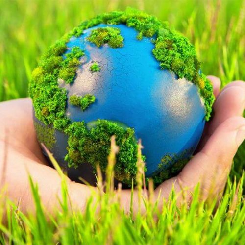 Các vấn đề cần lưu ý về bảo vệ môi trường