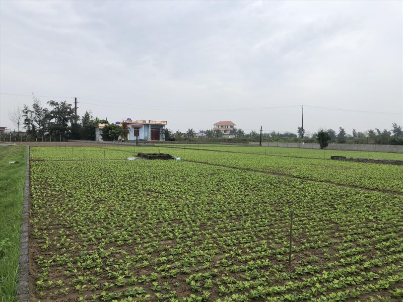 Tìm hiểu quyền sử dụng đất nông nghiệp tại nông thôn là gì?