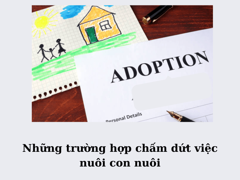 Thực trạng việc nuôi con nuôi hiện nay