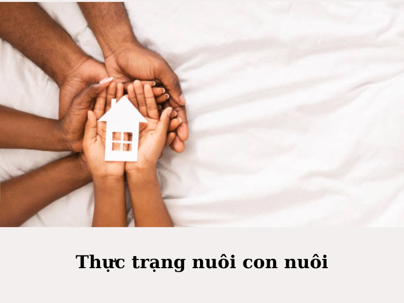 Trường hợp chấm dứt việc nuôi con nuôi
