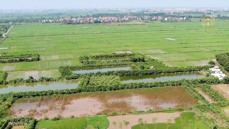 Tìm hiểu về giao đất cho người khác quản lý