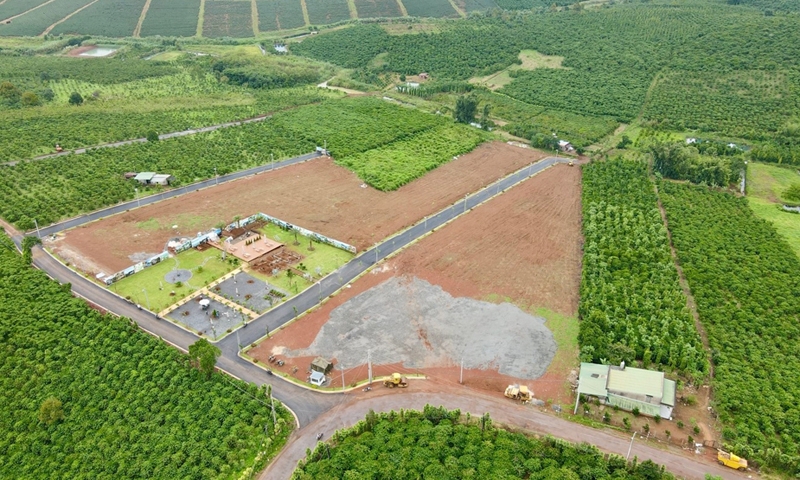 Thực trạng tranh chấp thừa kế quyền sử dụng đất