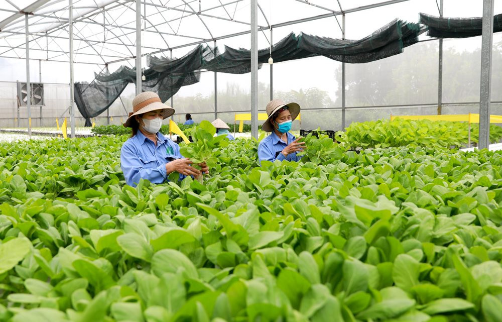Thủ tục đăng ký hợp tác xã 2023: điều kiện, hồ sơ và thời gian xử lý