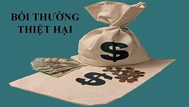 Tư vấn về việc hồi phục từ các vụ kiện theo quy định pháp luật