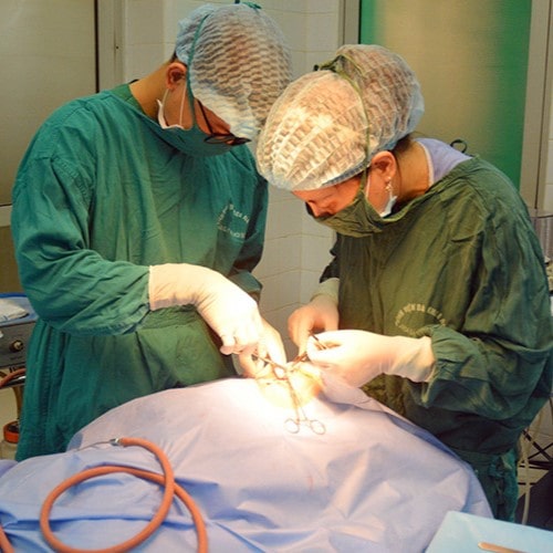 Quy định pháp luật liên quan đến sơ suất y tế